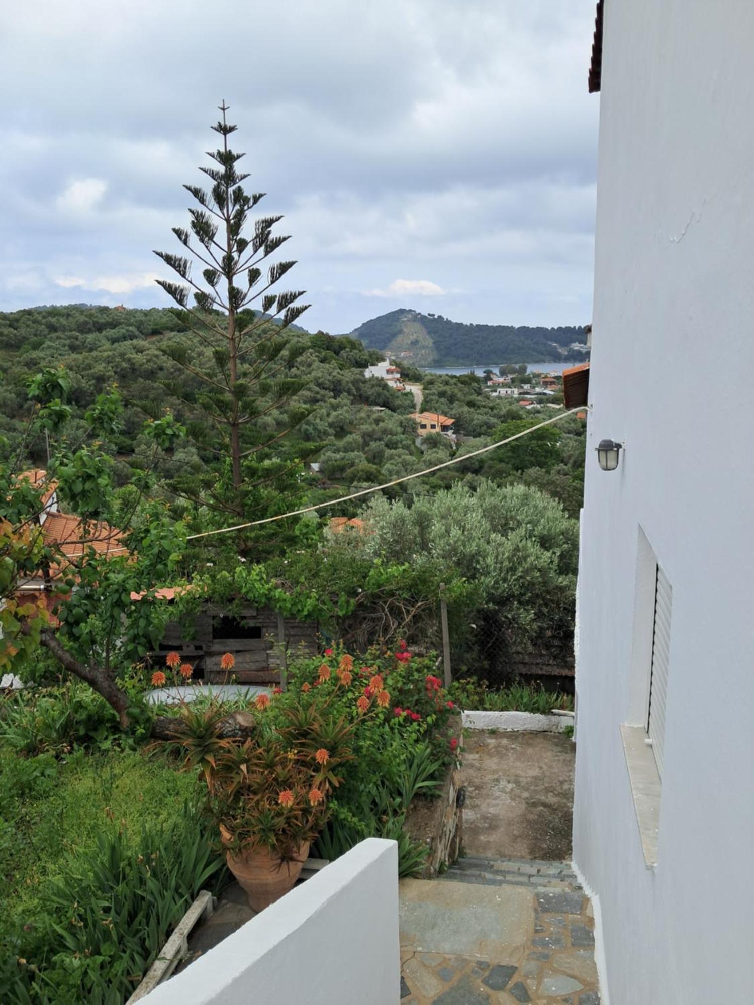 Camelia Studios Skiathos-stad Buitenkant foto