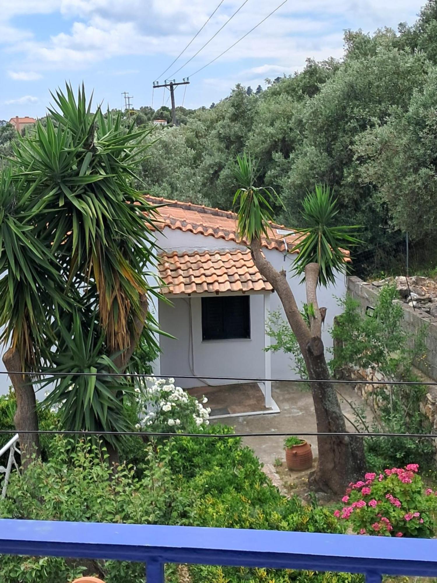 Camelia Studios Skiathos-stad Buitenkant foto