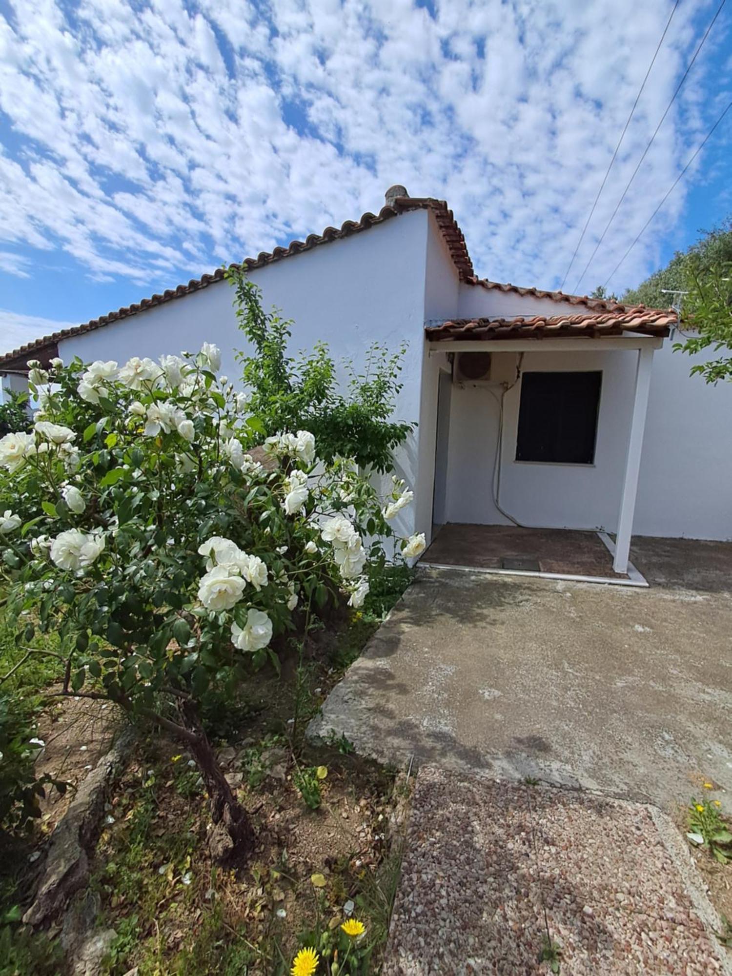 Camelia Studios Skiathos-stad Buitenkant foto