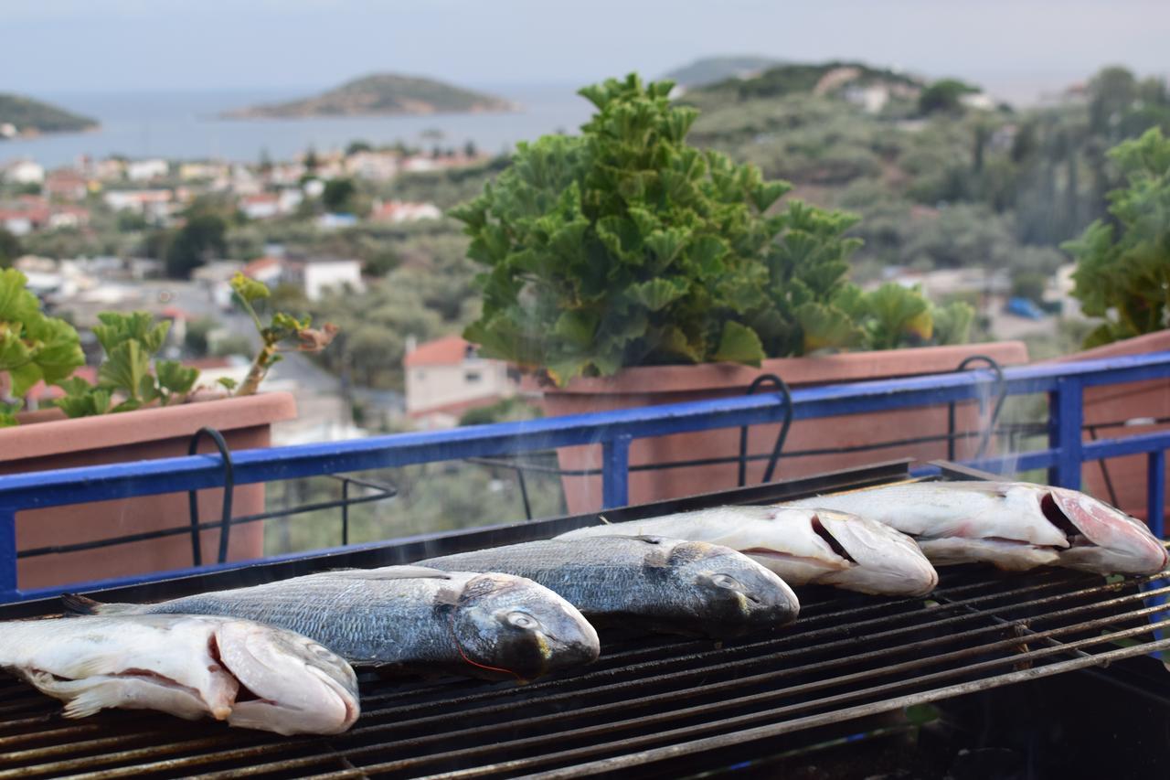 Camelia Studios Skiathos-stad Buitenkant foto