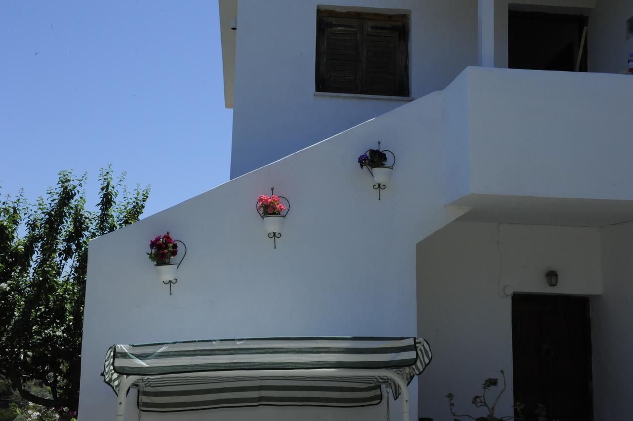 Camelia Studios Skiathos-stad Buitenkant foto